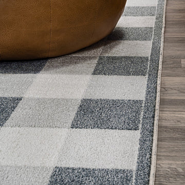 Gingham Gradient Plaid Cottage Machine-washable Area Rug